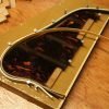 bound archtop pickguard