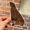 Bound Pickguard