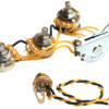 Prewired Strat Wiring Harness