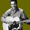 Elvis Presley Batwing Pickguard
