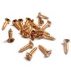 Pickguard Screws Import Gold Philips 3x13mm