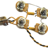 Prewired Gibson SG Wiring Harness